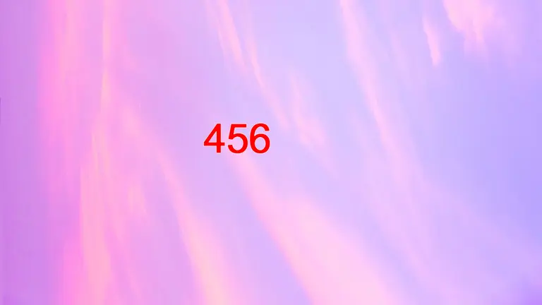 456