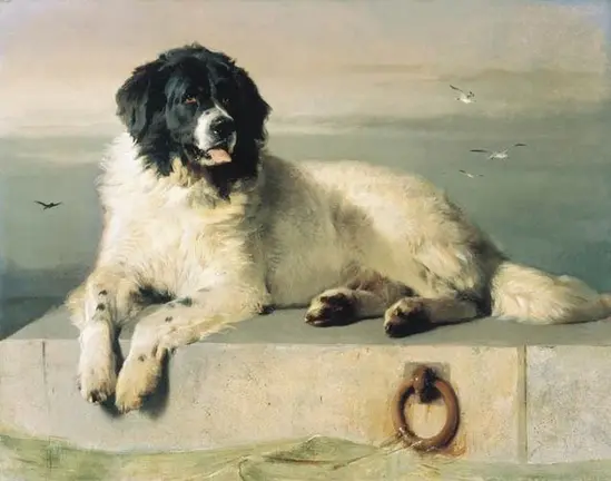 Lord Byron y su terranova Boatswain