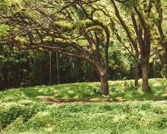 Gerardo Far&iacute;as Rangel