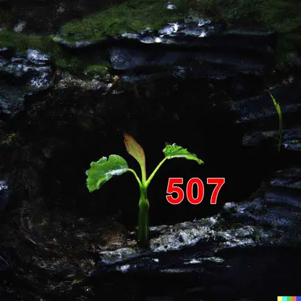 507