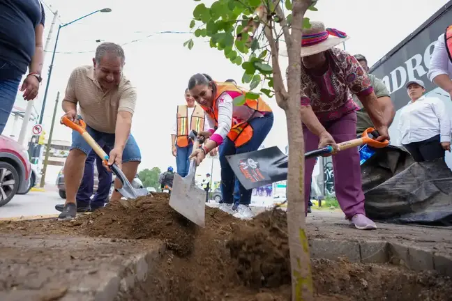 D&iacute;a Mundial del &Aacute;rbol