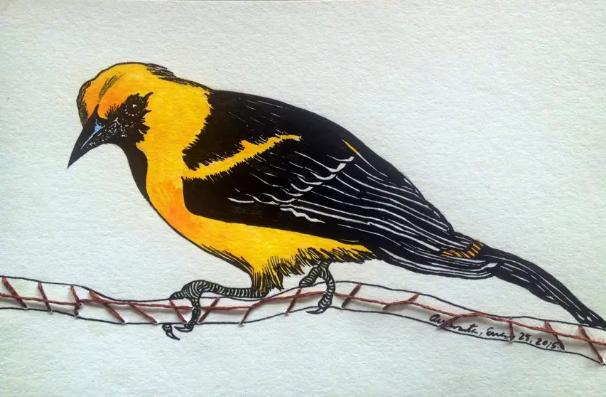 Calandria