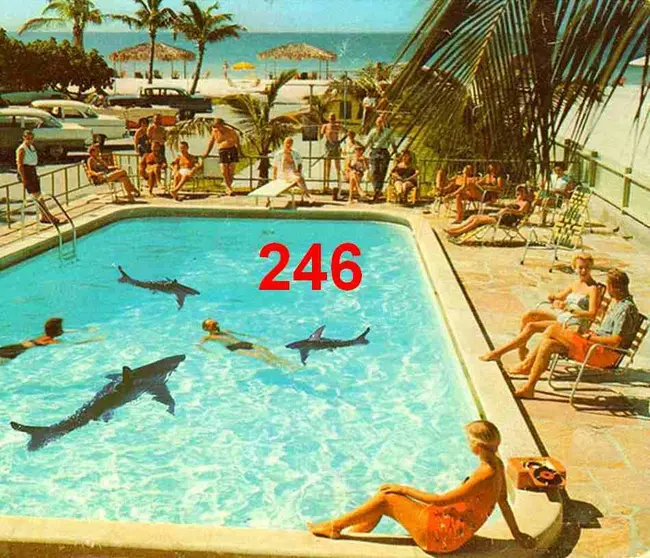 t246 [resent] Collage de Sammy Slabbinck
