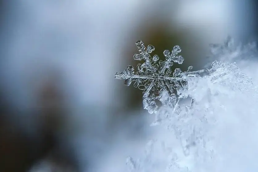 Chema Rosas -  copo de nieve