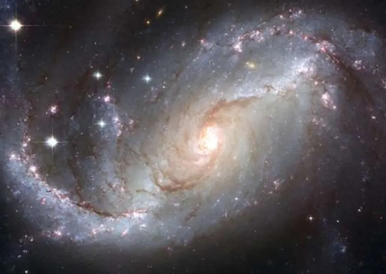 cosmos