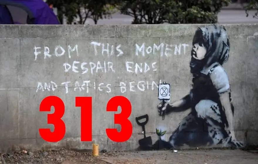 t313 banner