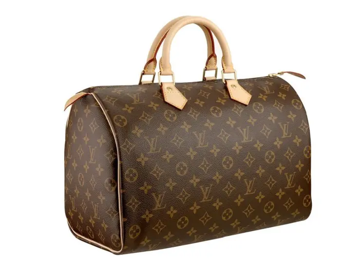 Bolso Louis Viutton