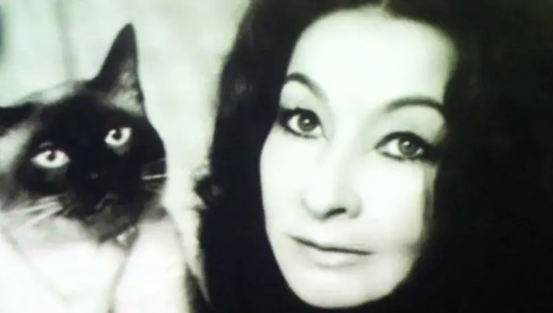 amparo-davila