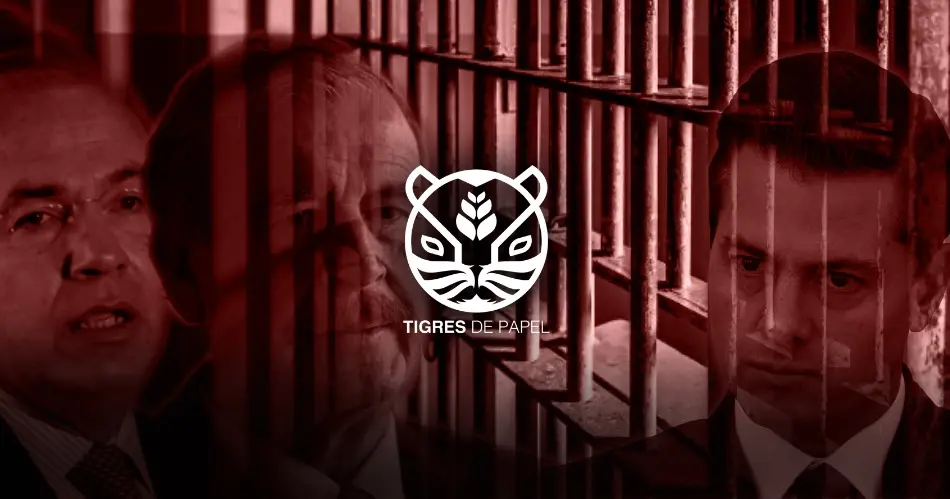 Tigres de papel 25 de agosto