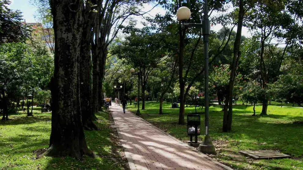 Parque