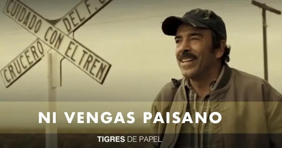 Tigres de Papel