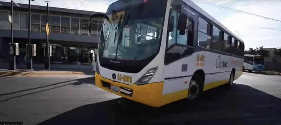 camion leon