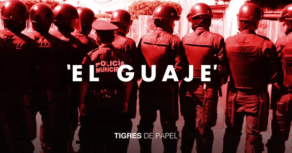 Tigres de Papel