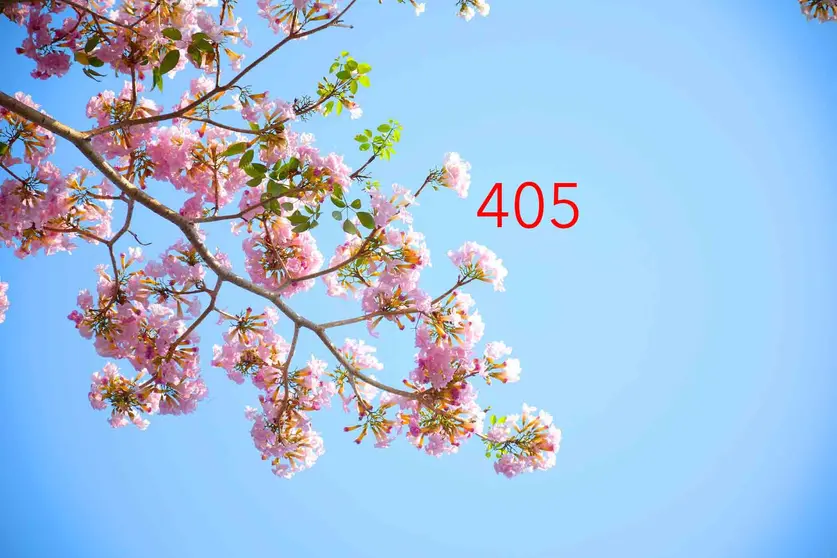 Tachas 405
