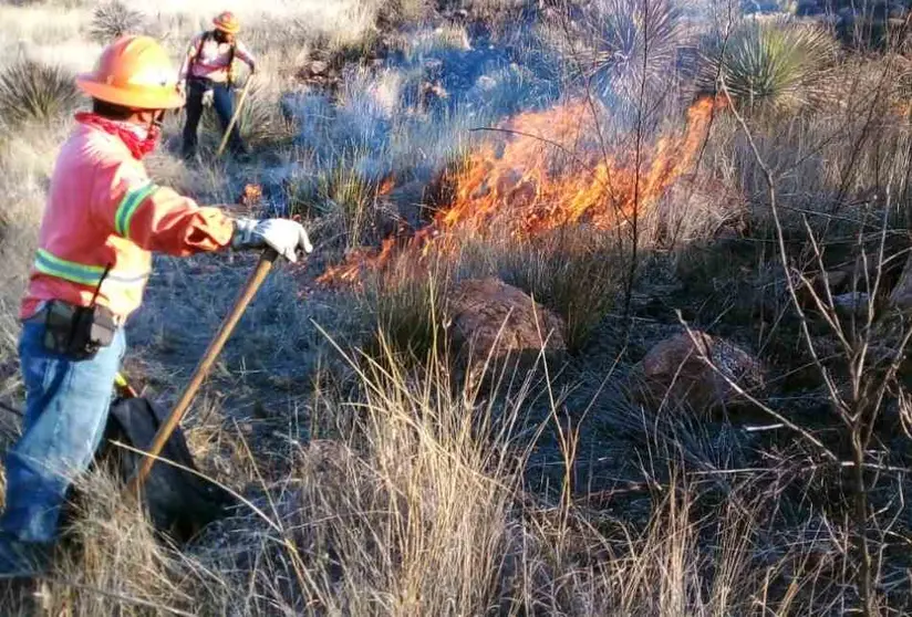 Invita SMAOT a denunciar incendios forestales