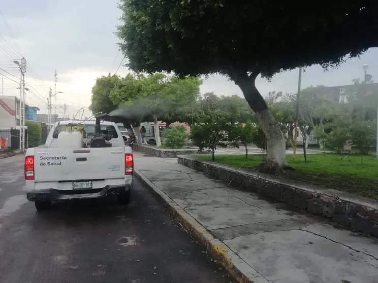 dengue