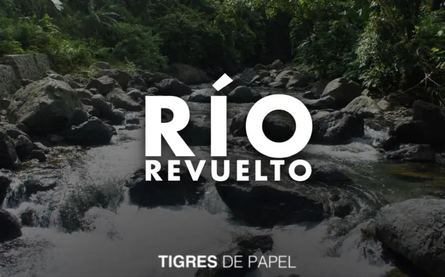 Tigres de Papel 020621