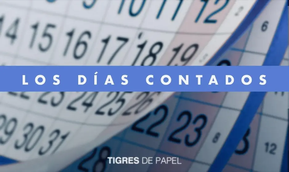 Tigres de Papel 190721