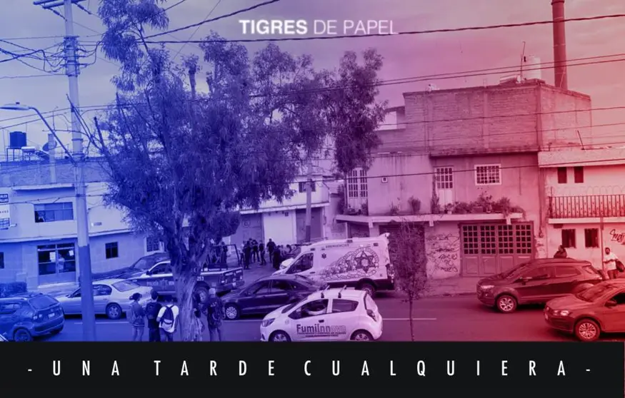 Tigres de Papel 090821