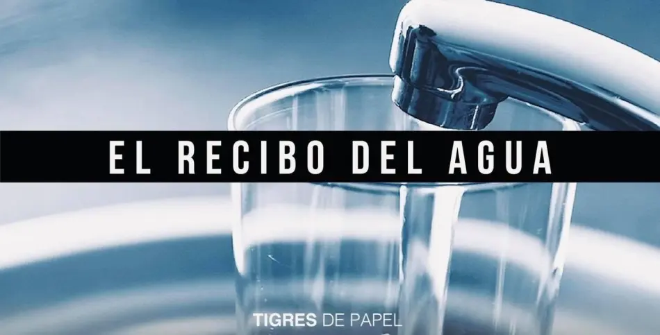Tigres de Papel 160821