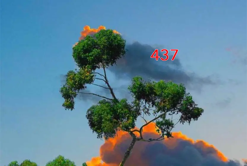 437