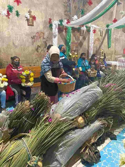 El xotol o chimal es planta sagrada no medicinal. Aquí venerándola para 'labrar' el xuchil de la Virgen de Guadalupe, en El Guadalupe, Tierra Blanca, Gto. Nana Carmen le coloca la flor