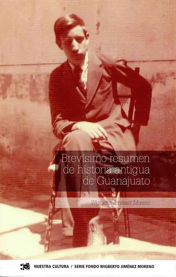 Brevísimo resumen, WJM, portada del libro