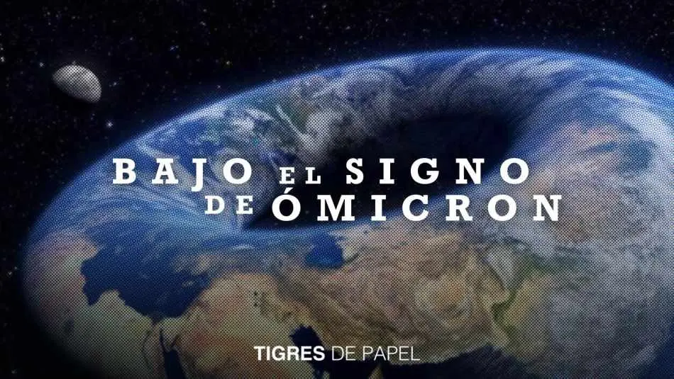 Tigres de Papel 311221