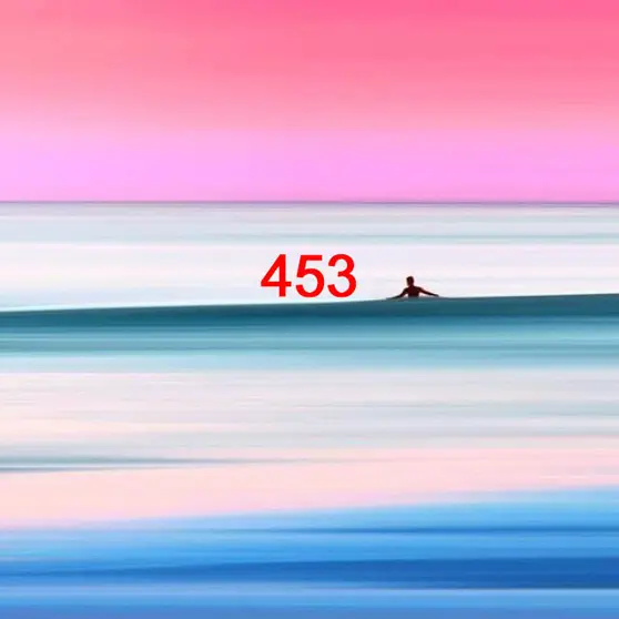 453