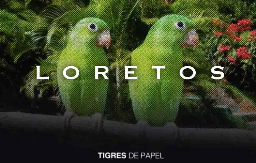Tigres de Papel