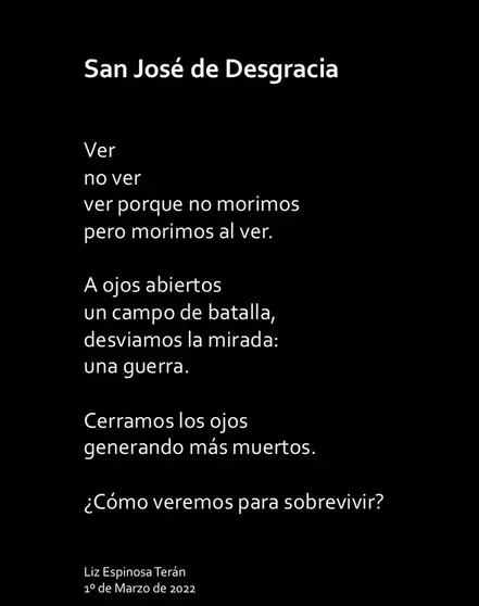 San José de Desgracia - Liz Espinosa Terán