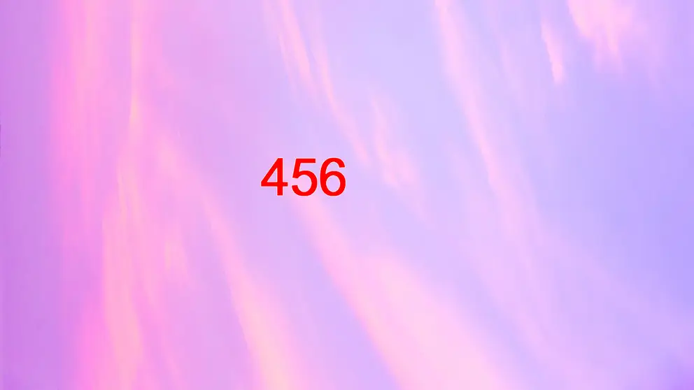 456