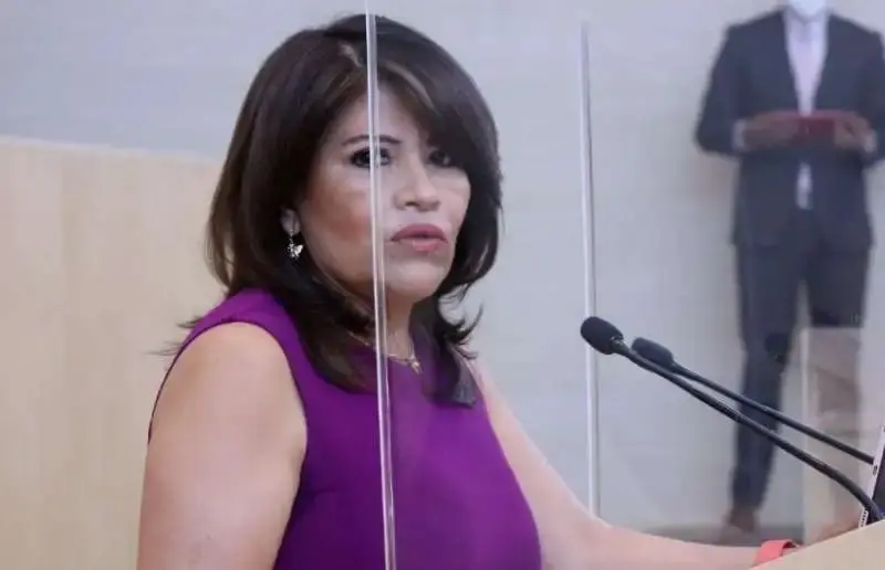 Diputada-Ruth-Tizcareno