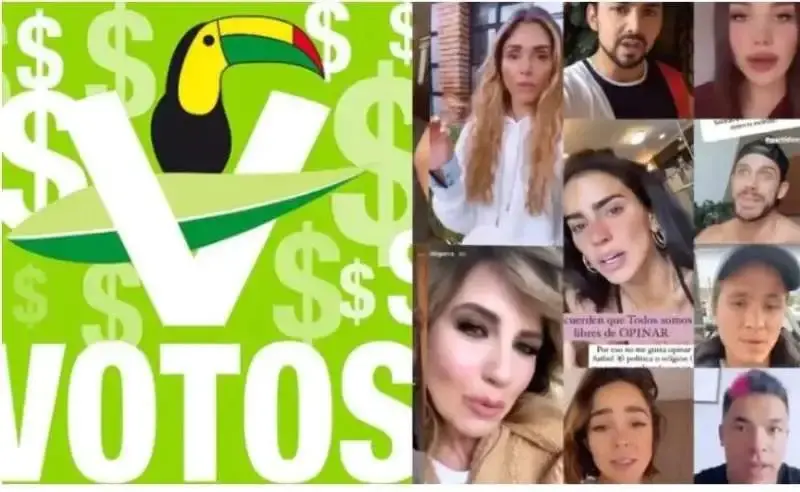 PVEM-influencers