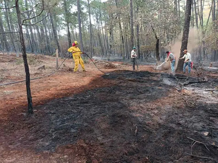 Extinguen incendio en los límites de Guanajuato y Querétaro2