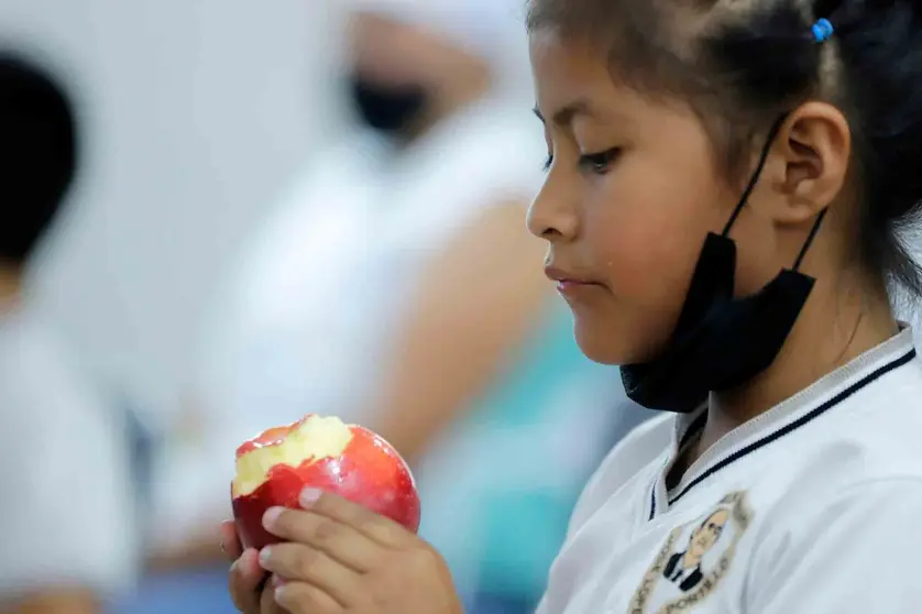 DIF alimentos niña niños