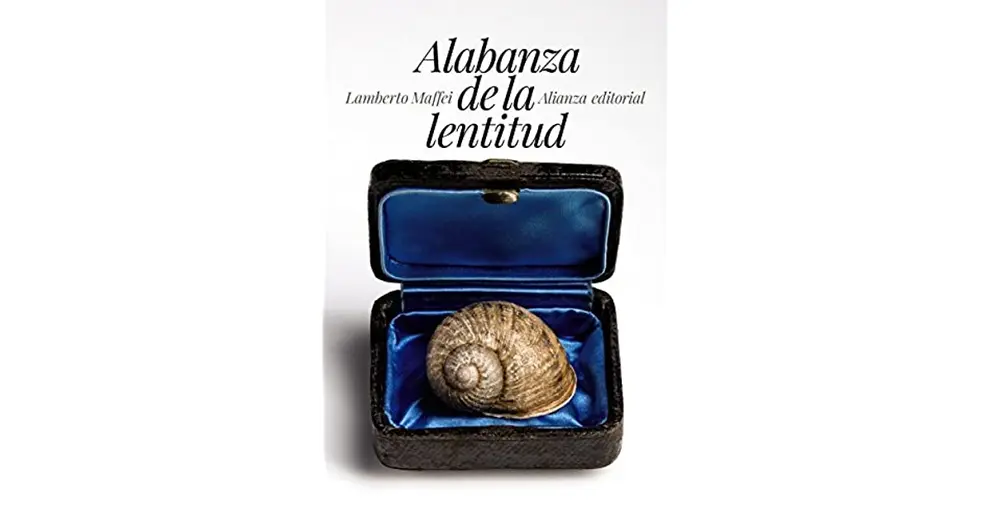 Alabanza de la lentitud, de Lamberto Maffei