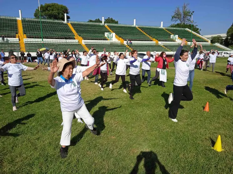 Imss