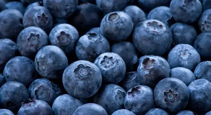 berries