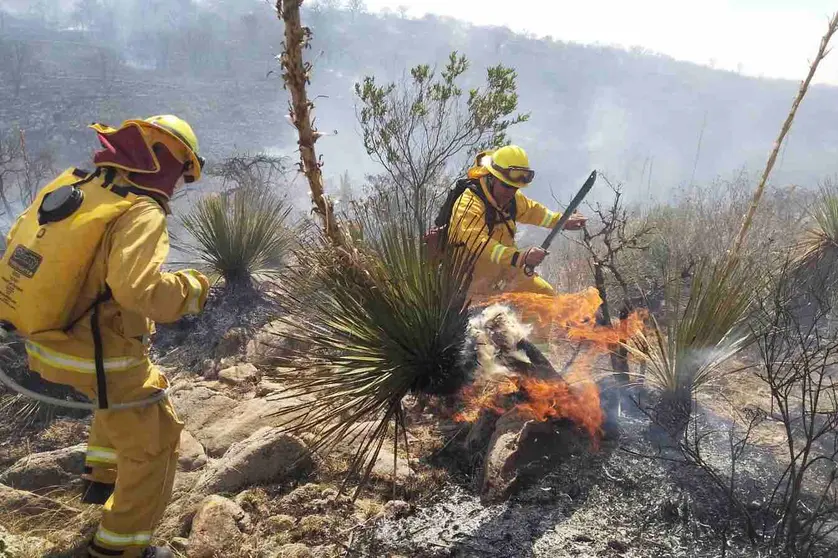 fuego bombero pastizal 3