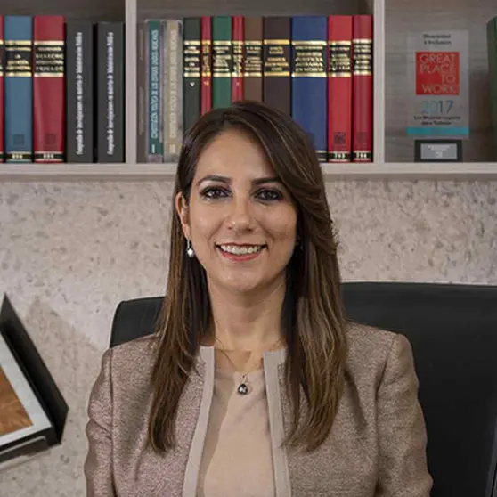 Imagen de Libia García Muñoz Ledo en la XV Legislatura de Guanajuato
