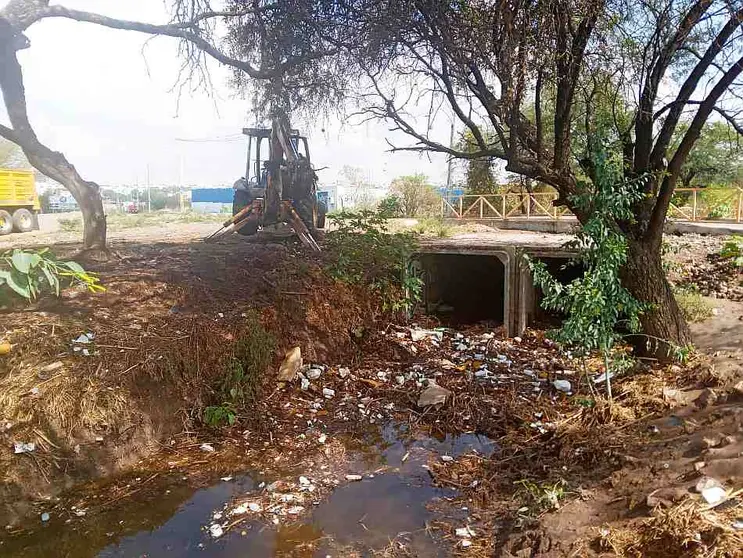 Limpia SAPAL arroyos y alcantarillas