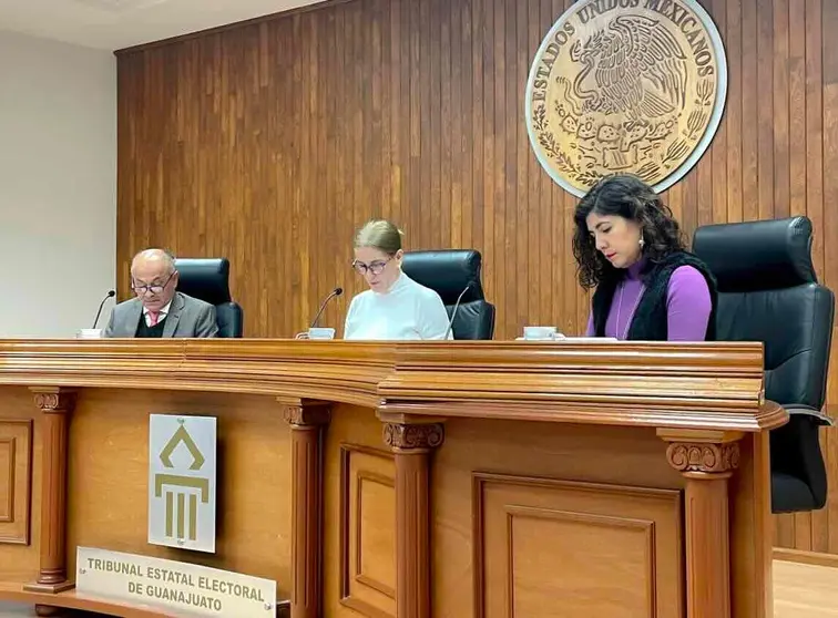 Tribunal Estatal Electoral