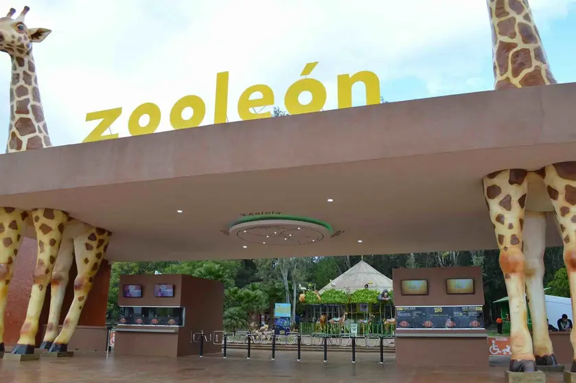 zoo