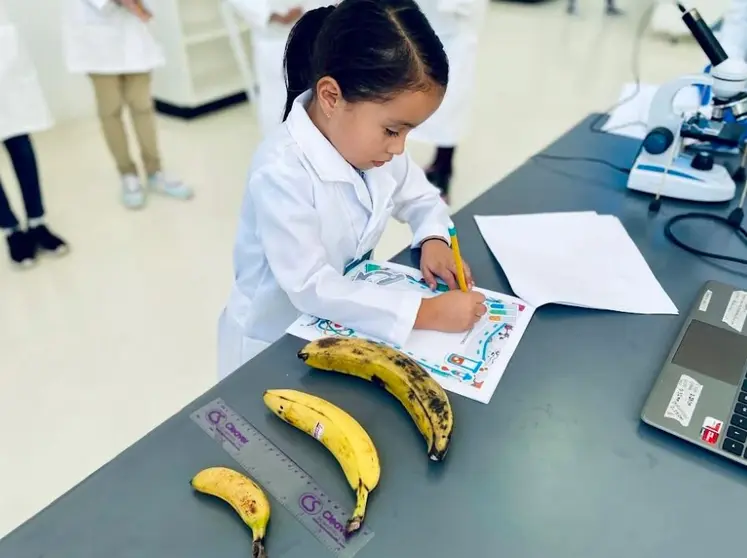Ciencia