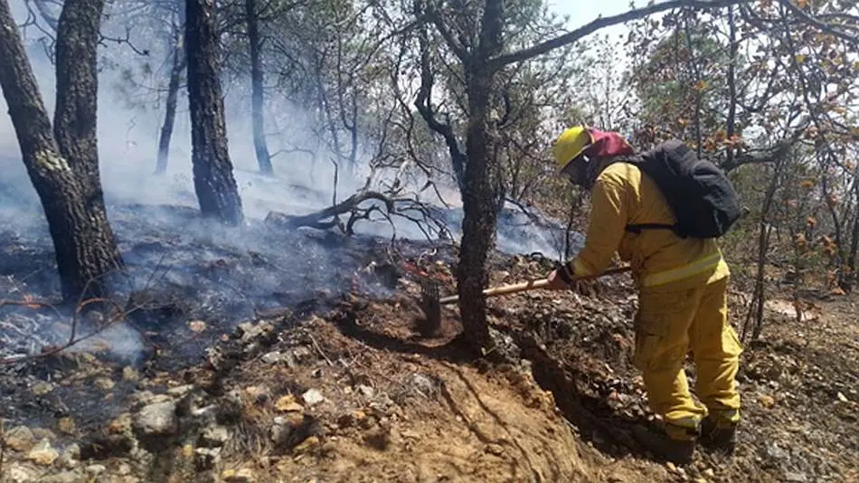 Combaten incendio en la sierra de Santa Rosa