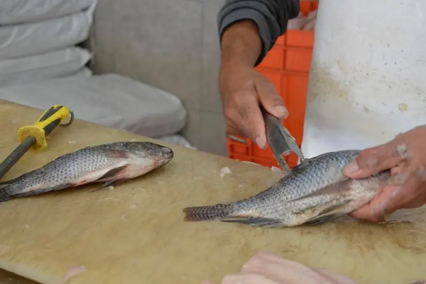 pescado