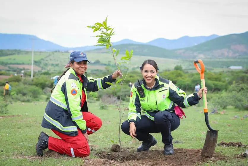 Planta León 2 mil árboles en Sierra de Lobos