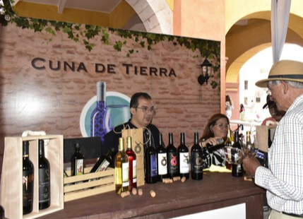 Vino