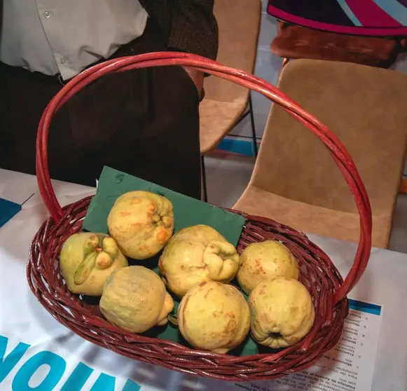 feria de la granada y la pitahaya